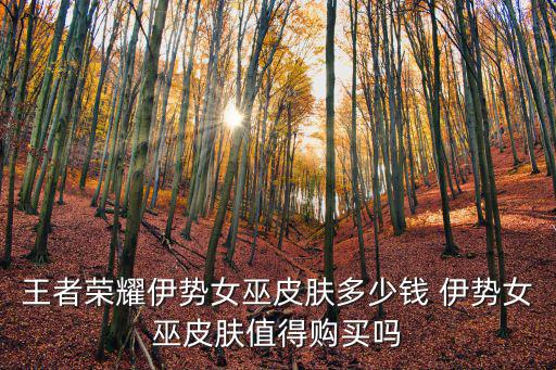 王者荣耀伊势女巫皮肤多少钱 伊势女巫皮肤值得购买吗