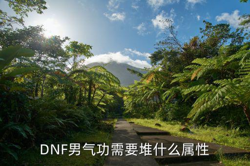 dnf男气功增幅什么属性，dnf男气功属性选择