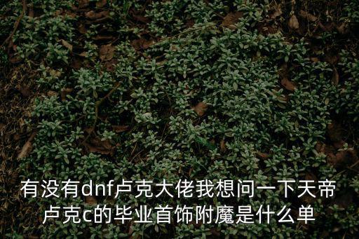 有没有dnf卢克大佬我想问一下天帝卢克c的毕业首饰附魔是什么单