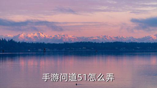 手游问道51怎么弄
