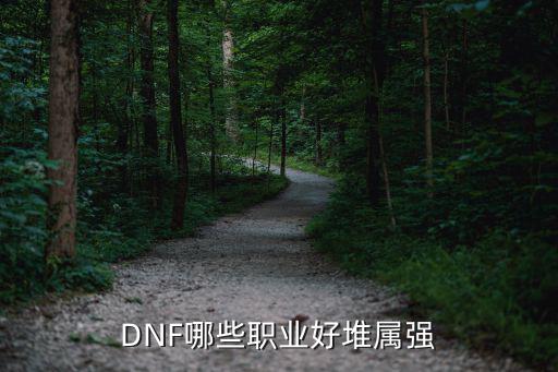 dnf属性强化什么职业堆，DNF哪些职业需要属性强化