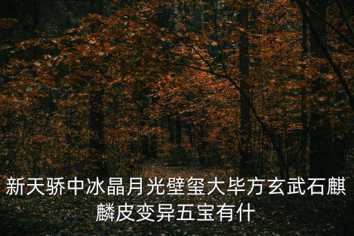 新天骄中冰晶月光壁玺大毕方玄武石麒麟皮变异五宝有什