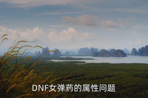 dnf女弹药对什么属性，DNF女弹药走什么属性强化好