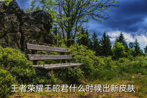 新皮肤王者荣耀什么时候出，王者荣耀王昭君什么时候出新皮肤