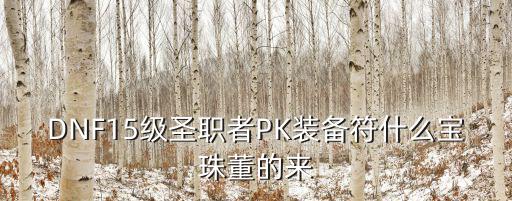 dnf圣职者什么宝珠属性，DNF15级圣职者PK装备符什么宝珠董的来