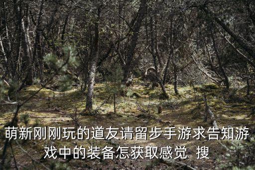 萌新刚刚玩的道友请留步手游求告知游戏中的装备怎获取感觉  搜