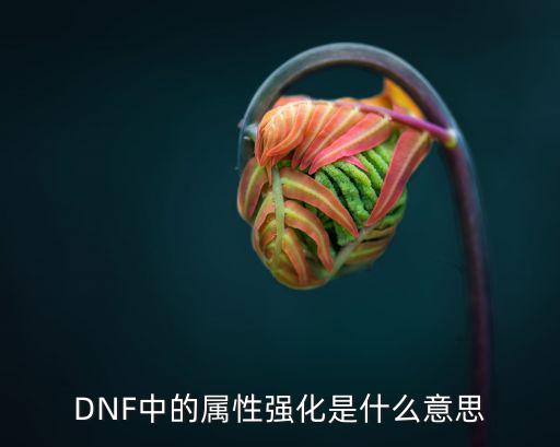 DNF中的属性强化是什么意思