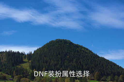 DNF佣兵装扮选什么属性，DNF装扮属性选择