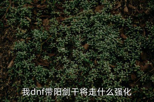 dnf阳剑走什么属性，dnf阳剑干将最上级100满属性是多少