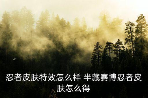 忍者皮肤特效怎么样 半藏赛博忍者皮肤怎么得
