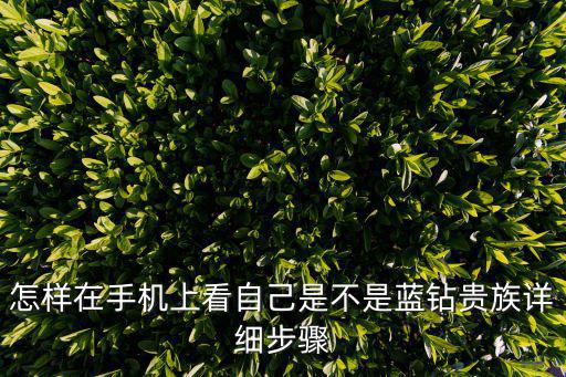 英雄联盟手游怎么看贵族等级，怎样在手机上看自己是不是蓝钻贵族详细步骤