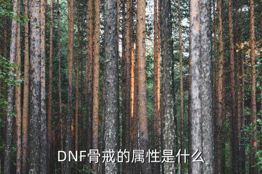 DNF骨戒的属性是什么