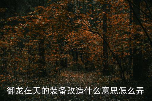 dnf装备改造1什么属性，新出的装备改造是怎样的