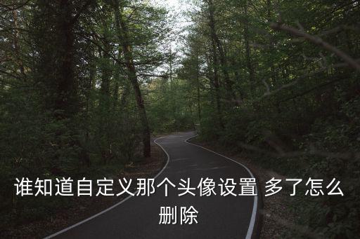 谁知道自定义那个头像设置 多了怎么删除