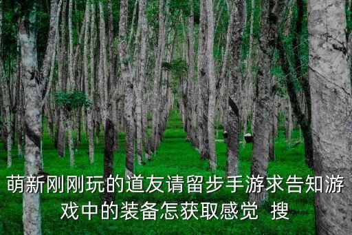 萌新刚刚玩的道友请留步手游求告知游戏中的装备怎获取感觉 搜