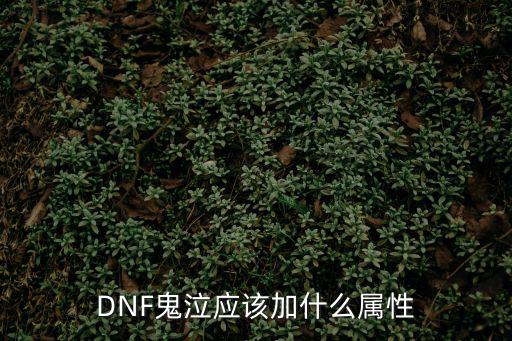 dnf鬼泣25加什么属性，DNF鬼泣应该加什么属性