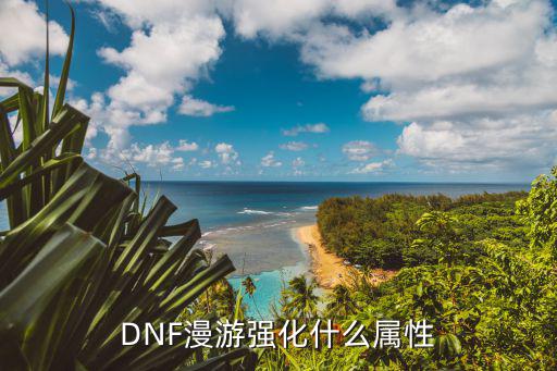 dnf漫游玩什么属性强化，dnf漫游堆什么属性强化