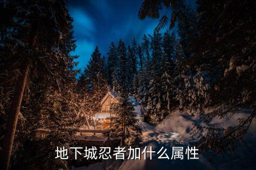 dnf忍者主要什么属性，DNF忍者穿什么装备 以及主要属性是什么