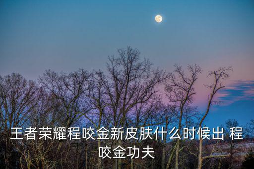 王者荣耀程咬金新皮肤什么时候出 程咬金功夫