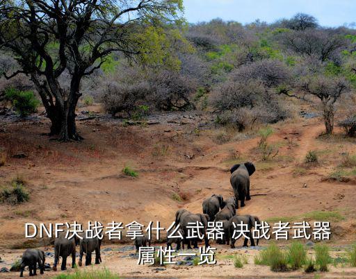 DNF决战者拿什么武器 决战者武器属性一览