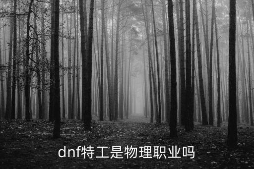 dnf特工是什么属性攻击，dnf特工赋予什么特效