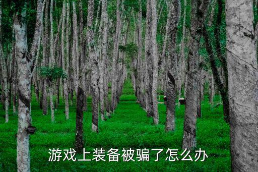 私下买游戏装备被骗了怎么处理，如果你的游戏装备被别人骗走了价值几百几千你怎么办