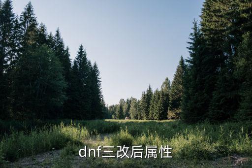 dnf 3 3弱什么属性，dnf狂战的异界3选什么属性