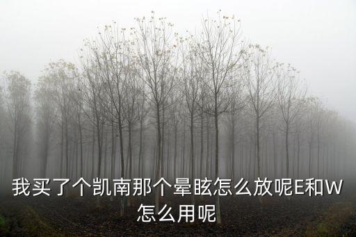 我买了个凯南那个晕眩怎么放呢E和W怎么用呢