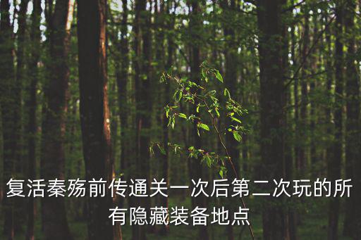 复活秦殇前传通关一次后第二次玩的所有隐藏装备地点