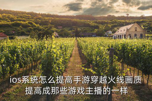 ios系统怎么提高手游穿越火线画质 提高成那些游戏主播的一样