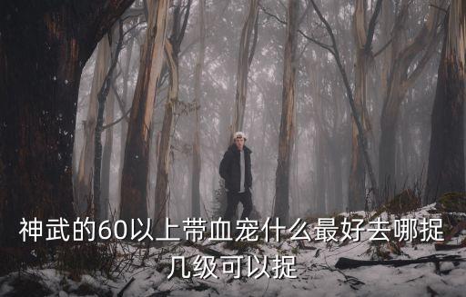 神武的60以上带血宠什么最好去哪捉几级可以捉