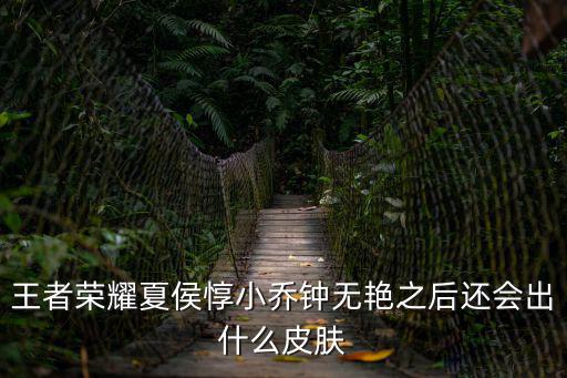 王者荣耀夏侯惇小乔钟无艳之后还会出什么皮肤