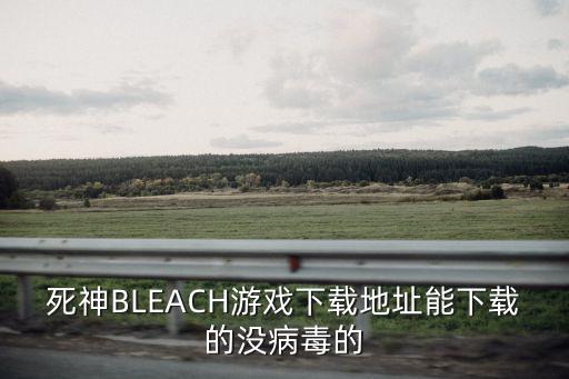 死神BLEACH游戏下载地址能下载的没病毒的