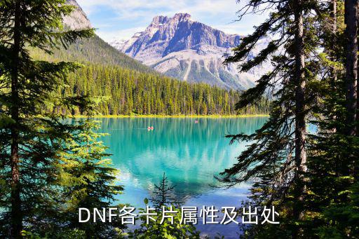 dnf大眼仔卡片什么属性，DNF卡片属性