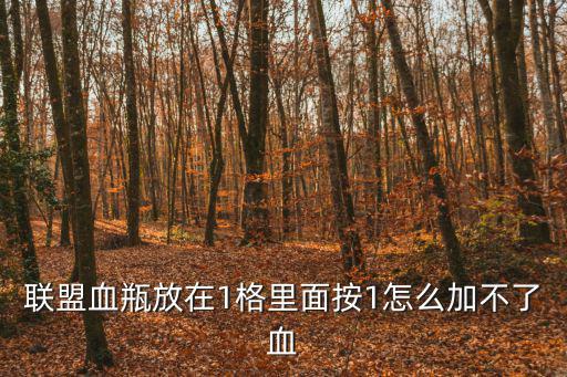 联盟血瓶放在1格里面按1怎么加不了血