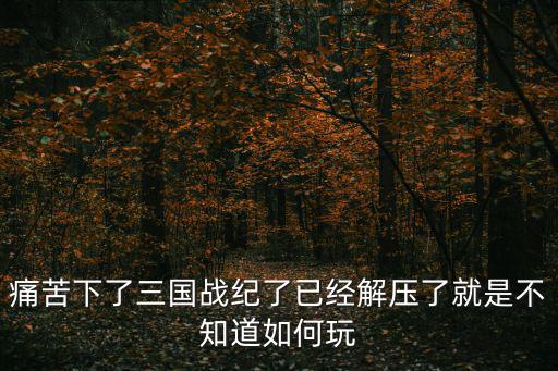 痛苦下了三国战纪了已经解压了就是不知道如何玩