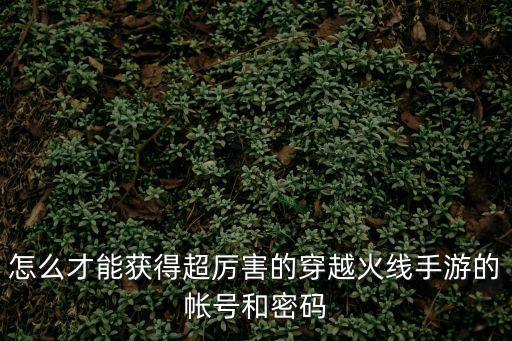 穿越火线手游巅峰战力怎么获得，穿越火线荣誉巅峰怎么做是不是子要杀敌2000就行了