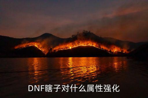 DNF瞎子对什么属性强化