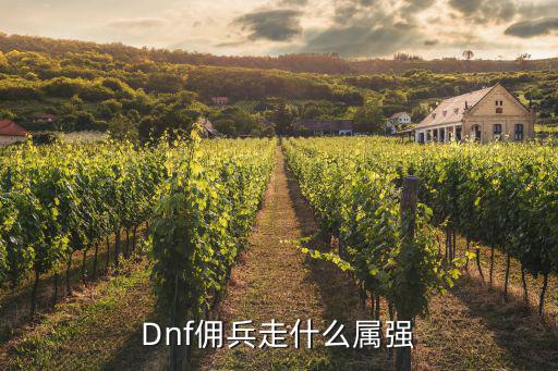 Dnf佣兵走什么属强