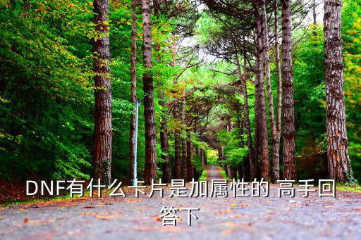 DNF有什么卡片是加属性的 高手回答下