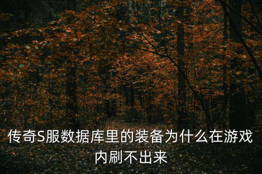 传奇S服数据库里的装备为什么在游戏内刷不出来