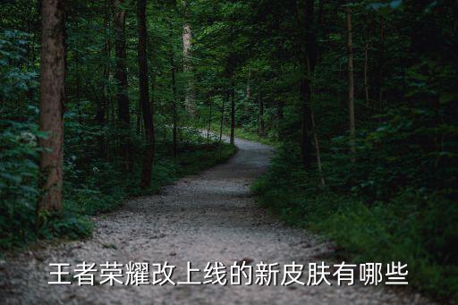 王者荣耀改上线的新皮肤有哪些