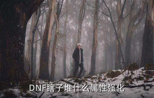 DNF瞎子堆什么属性强化