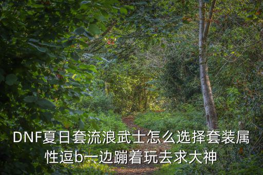 DNF夏日套流浪武士怎么选择套装属性逗b一边蹦着玩去求大神
