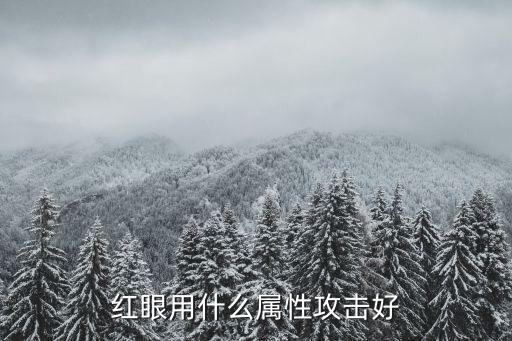 红眼用什么属性攻击好