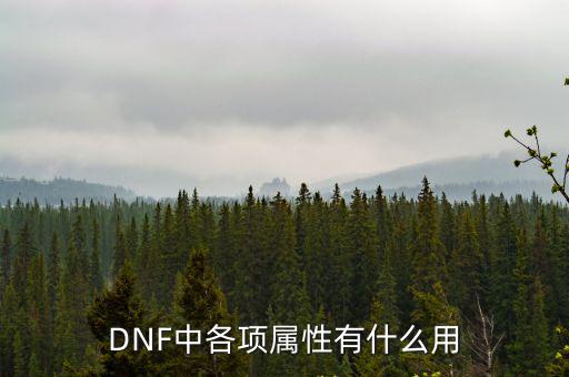 DNF中各项属性有什么用