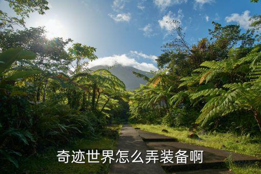 奇迹世界怎么弄装备啊
