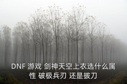 dnf剑神天空什么属性，地下城剑圣天空套各部位属性选择