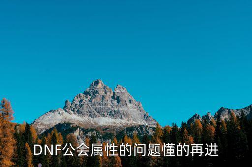 dnf公会珠选什么属性，dnf公会属性问题