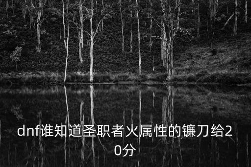 dnf谁知道圣职者火属性的镰刀给20分